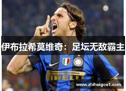 伊布拉希莫维奇：足坛无敌霸主