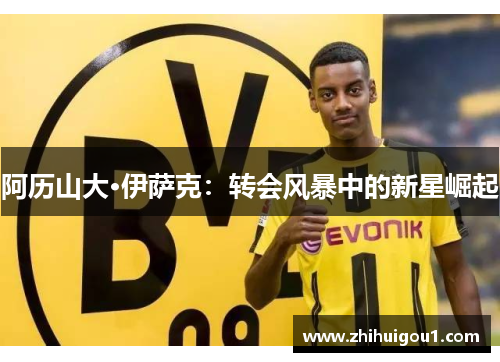 阿历山大·伊萨克：转会风暴中的新星崛起