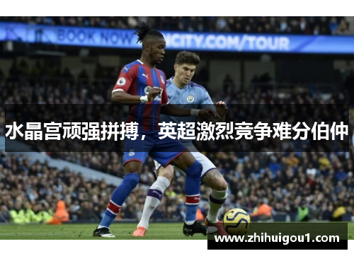 水晶宫顽强拼搏，英超激烈竞争难分伯仲